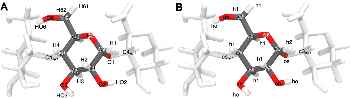 Figure 2: Atom names (left) and GAFF atom types (right) for a glucose monomer in αCD shown with two flanking monomers. The remaining three glucose monomers are hidden for clarity.