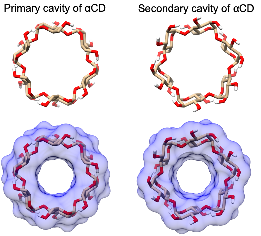 Figure 17: The primary (left) and secondary (right) cavity of αCD.